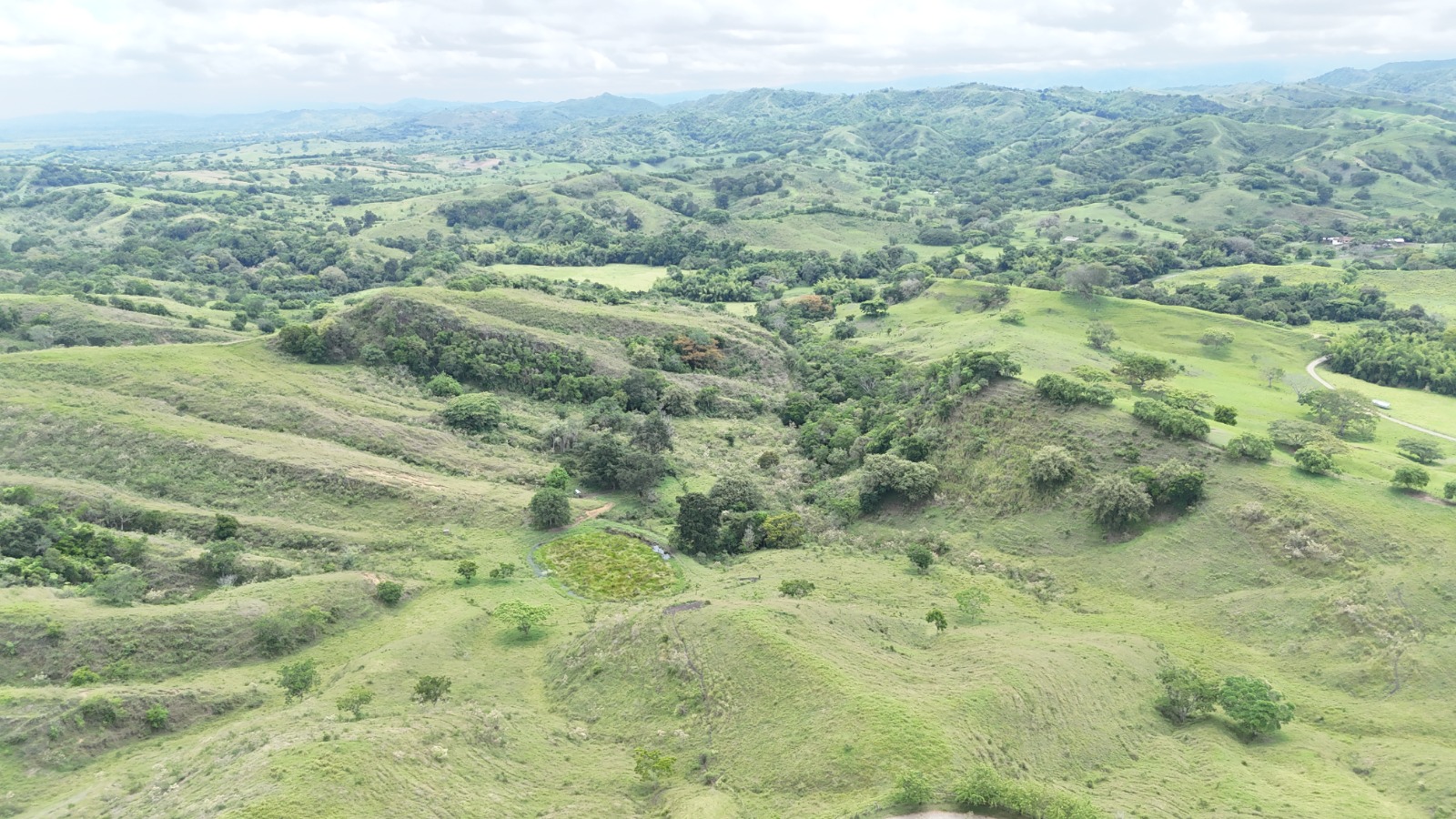 Historia y trayectoria de la Fundación Villa del Bosque