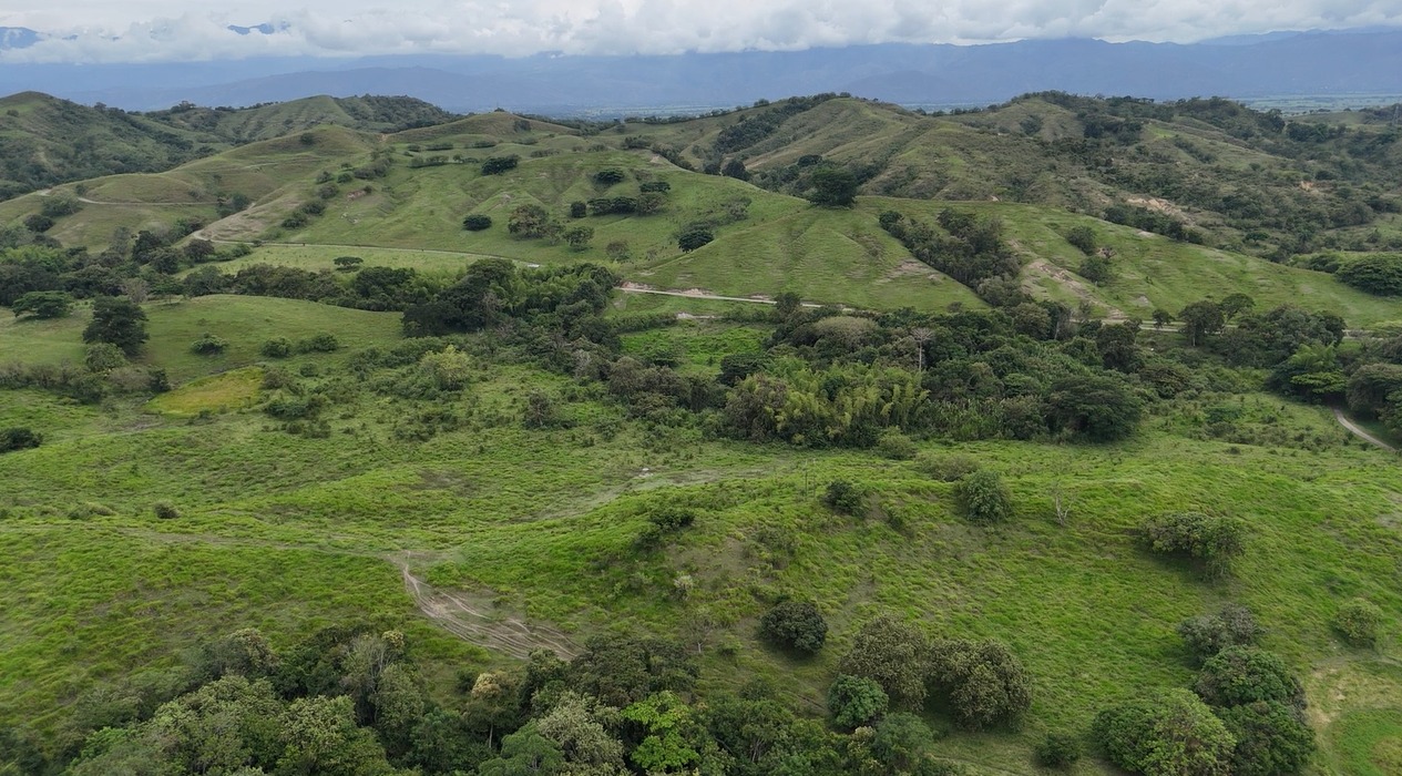 Paisaje natural del proyecto